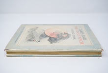 Load image into Gallery viewer, James and the Giant Peach