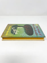 Load image into Gallery viewer, The Prime of Miss Jean Brodie