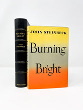 Load image into Gallery viewer, Burning Bright