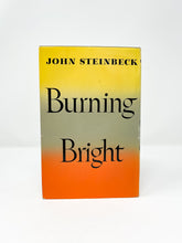 Load image into Gallery viewer, Burning Bright