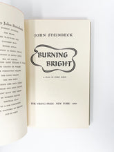 Load image into Gallery viewer, Burning Bright